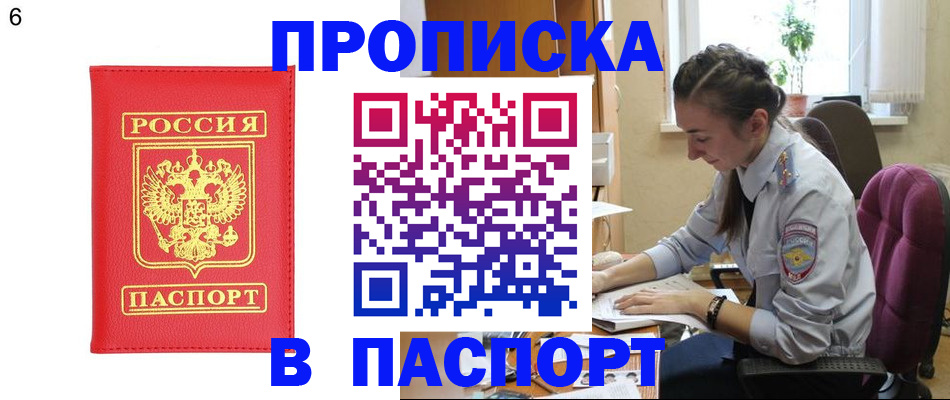 прописка гарантия в Кингисеппе